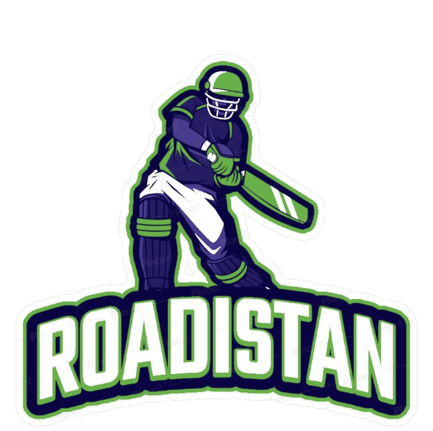 ROADI STAN team logo