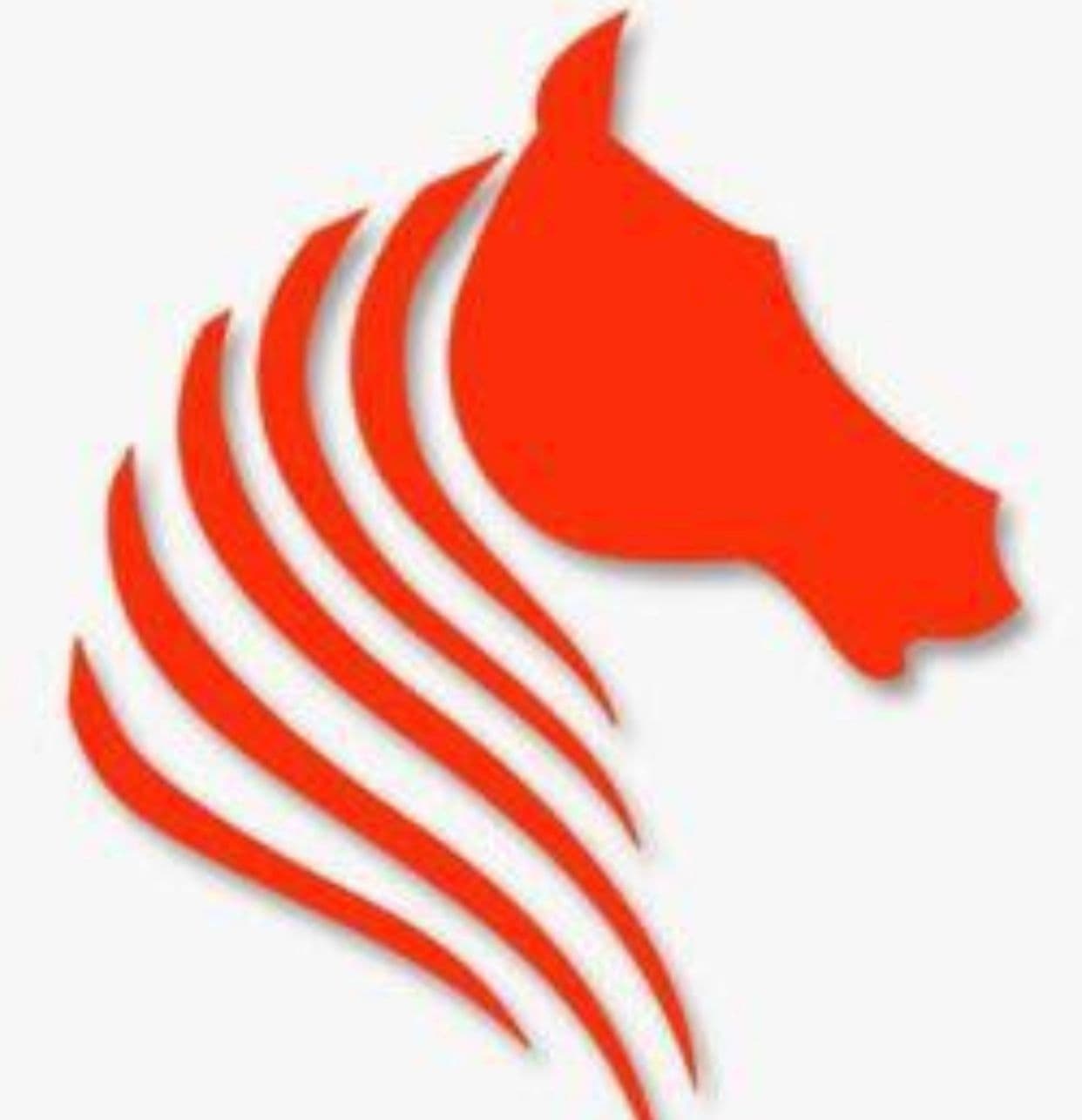 Panthers Dominators Kuwait team logo